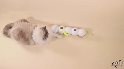 Caterpillar Chaser
