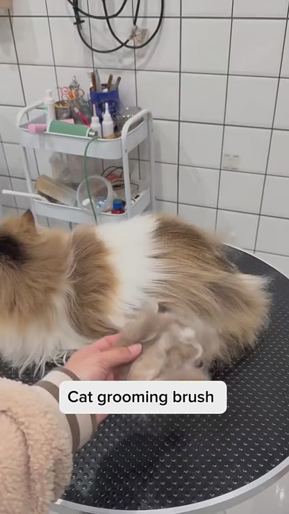 2-in-1 Grooming Comb